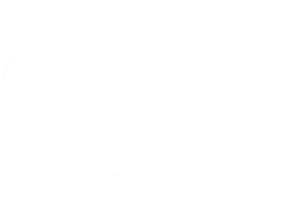 8 Furlong Consulting company logo