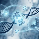 05_benefit_dna_repair